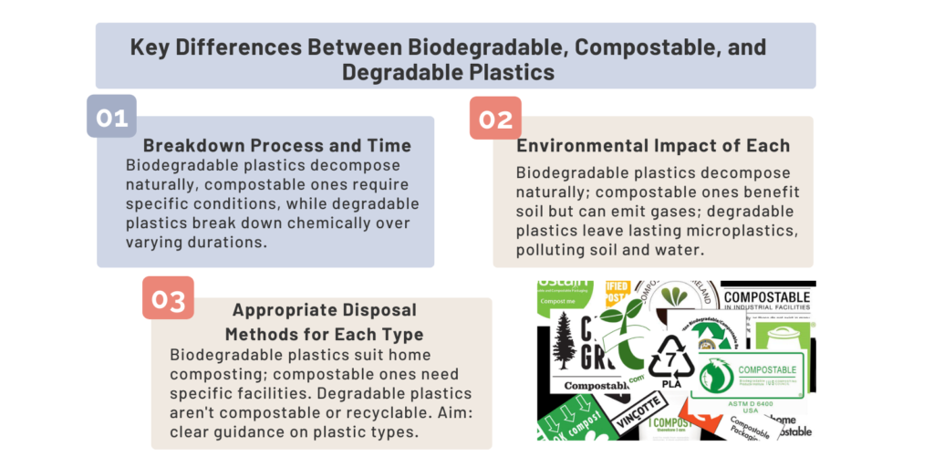 Differences Between Biodegradable, Compostable, and Degradable Plastics